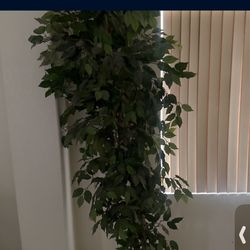 7 foot artificial plant