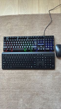 Two keyboards including mouse