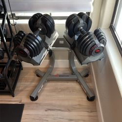 BowFlex SelectTech Dumbbells With The Stand