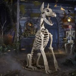 Skeleton Dog