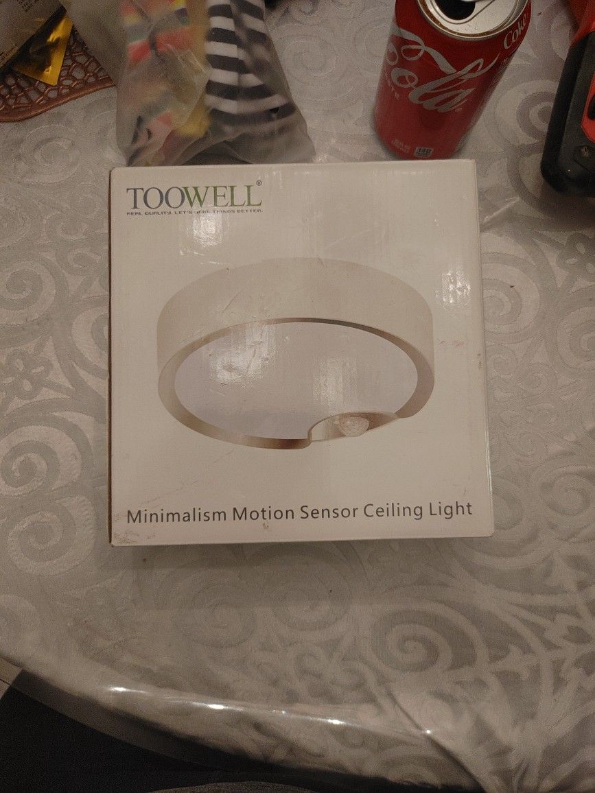 Motion Sensor Ceiling Light
