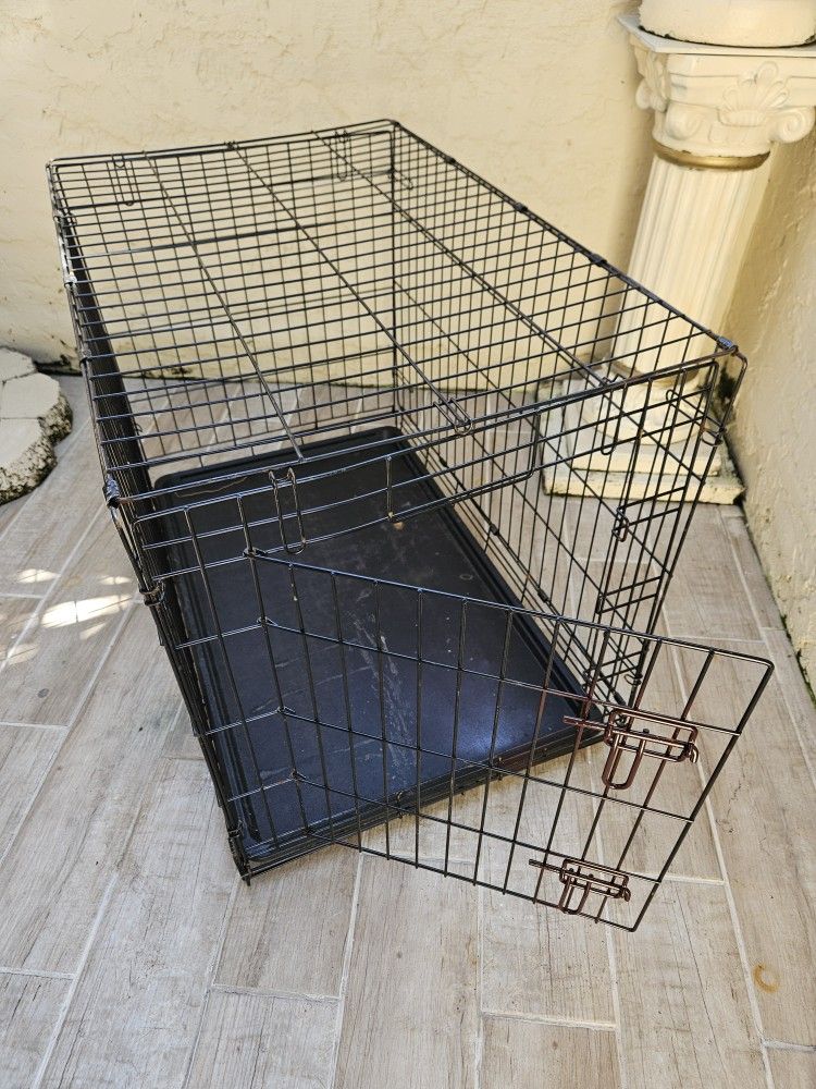 dog cage
