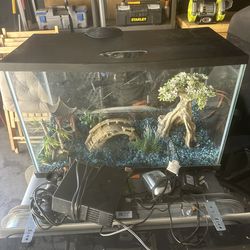 10.5 gallon fish tank with everything