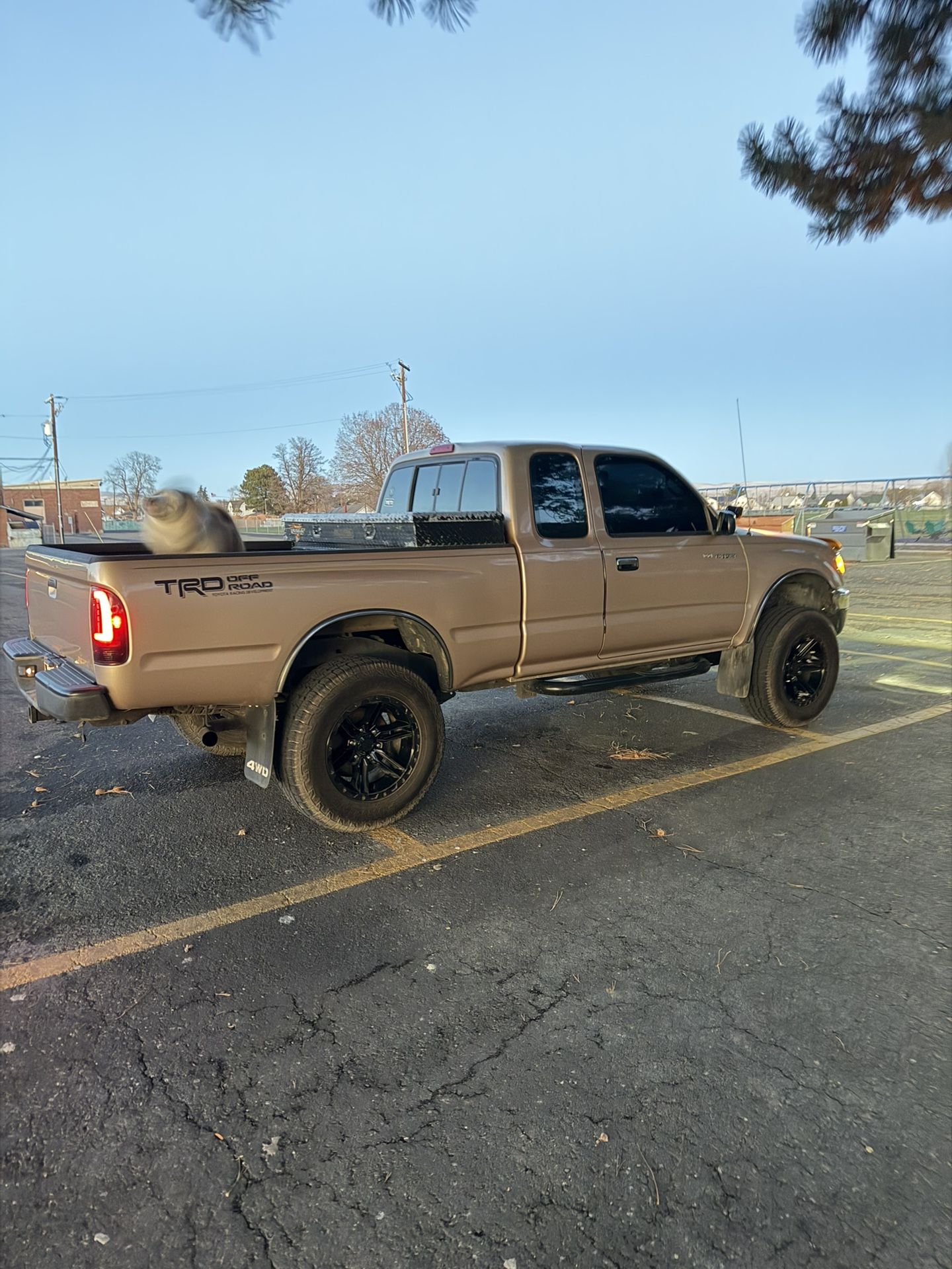 1996 Toyota Tacoma