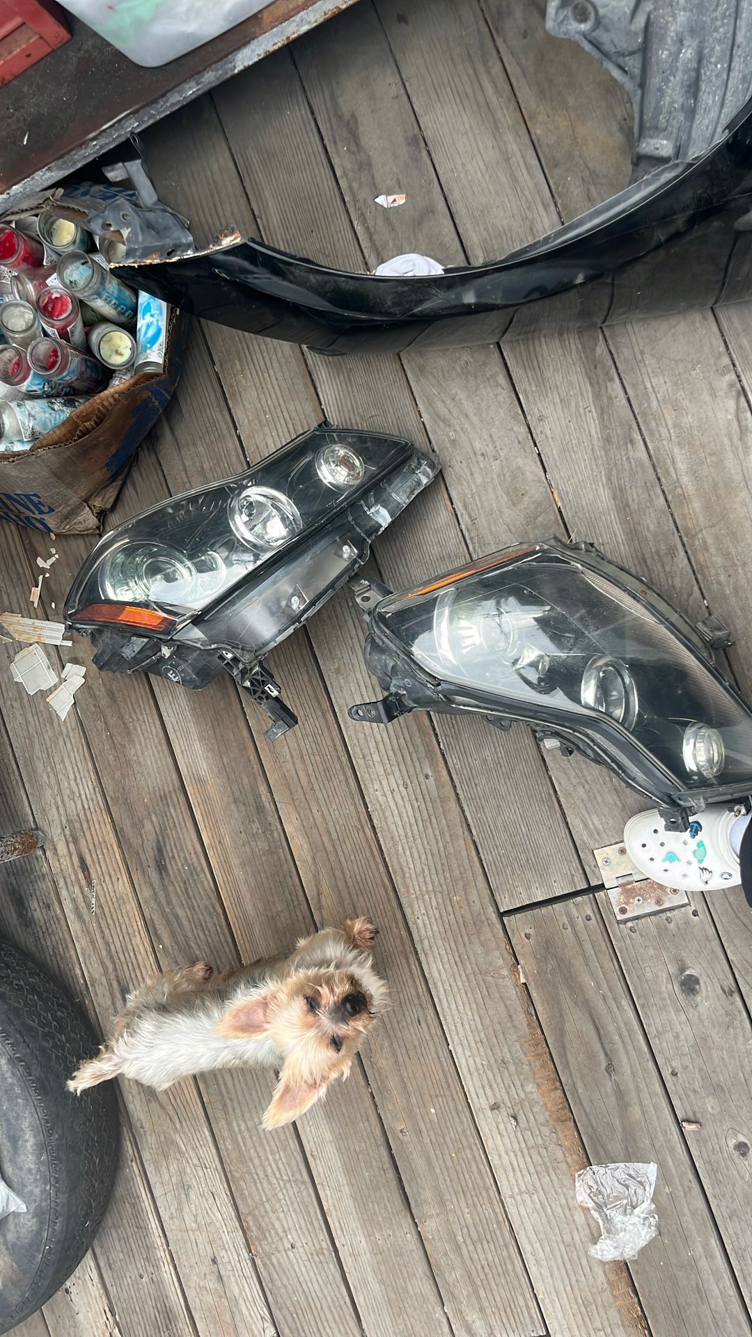 2006-2010 Infiniti M35 Front Left And Right Head Lights
