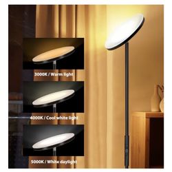 Modern Floor Lamp with Remote