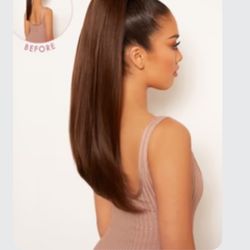 Clip In Extensions Pre Styled Set Of 2 (Braid And Ponytail)