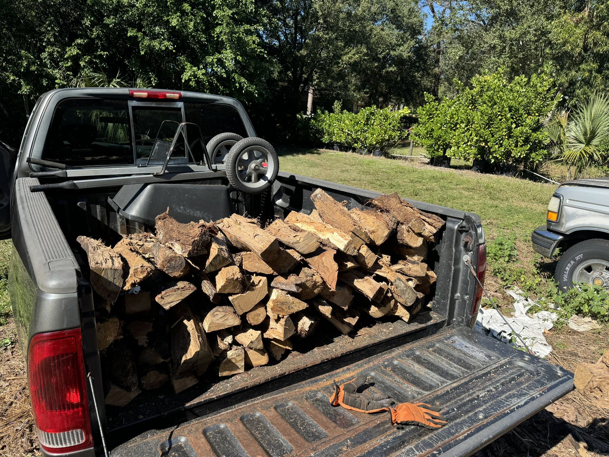 Firewood