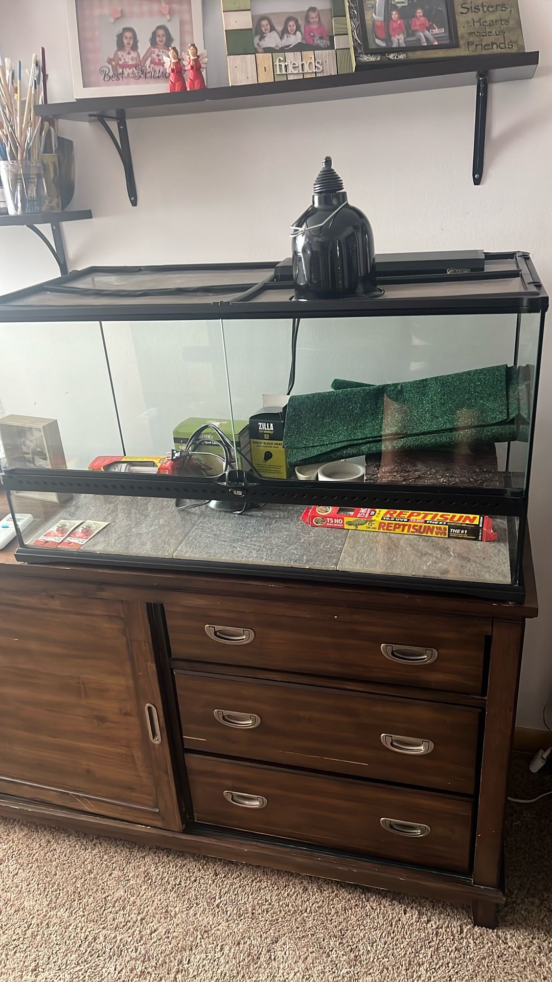 Reptile kit