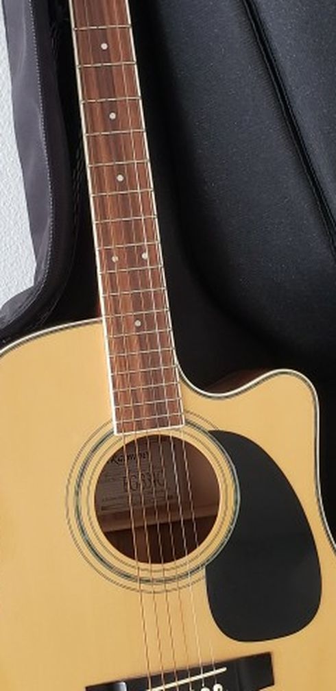 Takamine EG-334C Acoustic-Electric Guitar w/ Black Zipper Carrying Case
