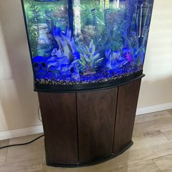 36 Gallon Bow Fish tank