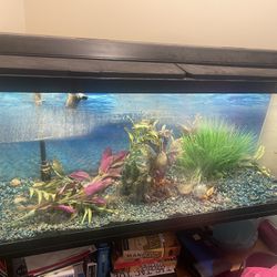 Fish Tank Stand And Filter 