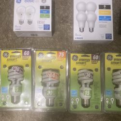 Light Bulbs 