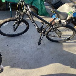 Mangoes Bike 