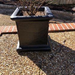 Concrete Planters 14x14