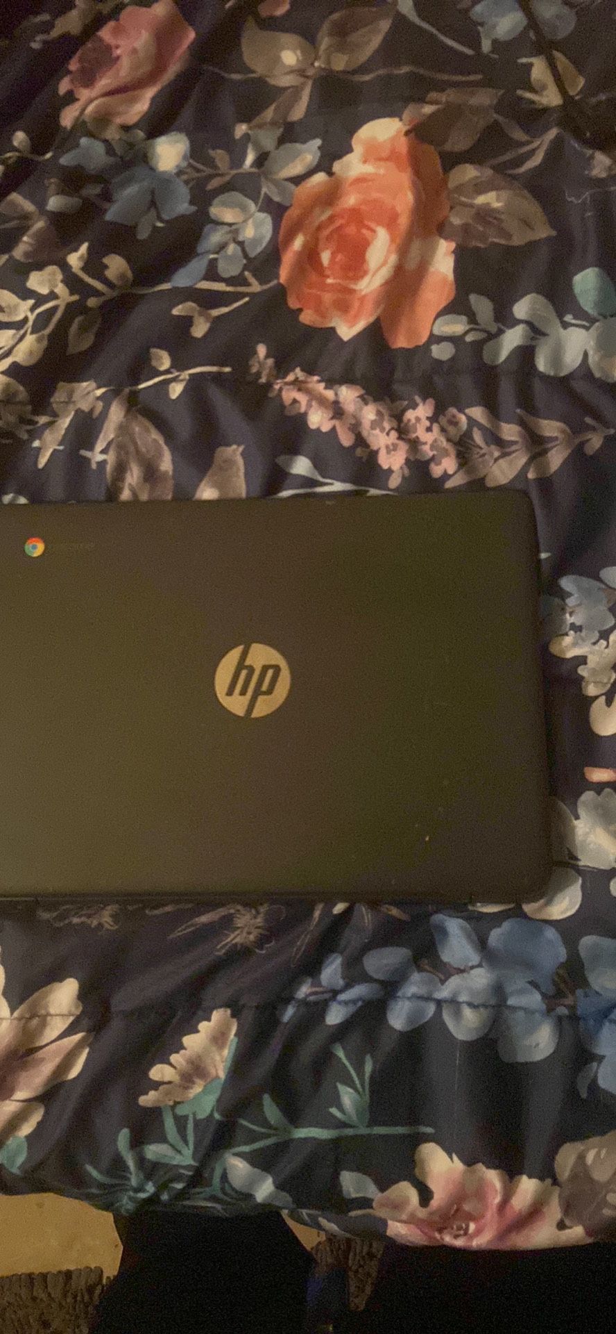 Hp Chromebook