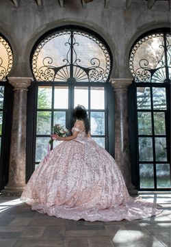 Pink  Ball Gown Quinceañera  Dress
