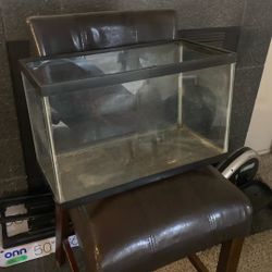 10 Gallon Fish Tank No Lid