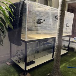 Aquarium Relocations +Installations +Repairs 