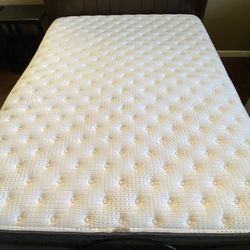 ADJUSTABLE QUEEN ELECTRIC MATTRESS SET