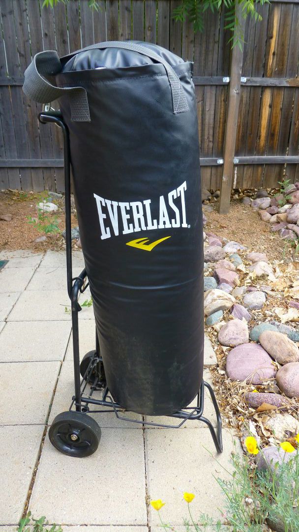 Everlast Punching Bag 70lb