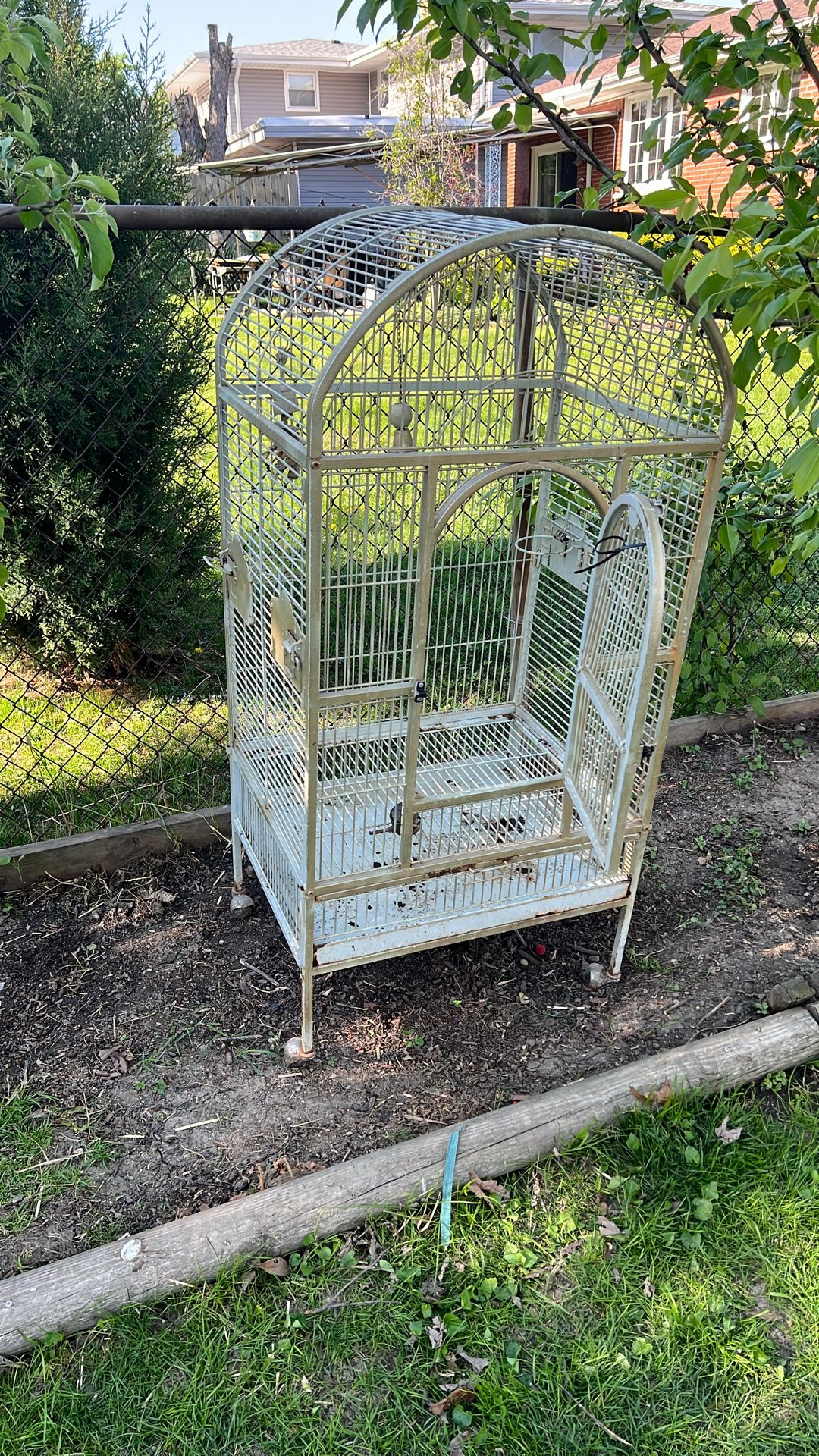 Big Bird Cage