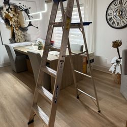 6 Ft Ladder