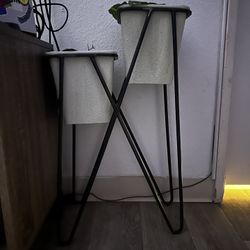Plant Holder