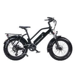 Troxus Skyhopper 750W Step-Thru Fat Tire Electric Bike