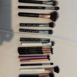 20 Variety Makeup Brushes 