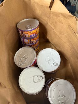 Wet cat food