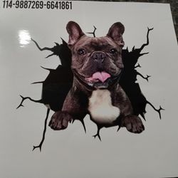 French Bulldog Car Windows Sticker Or Decal What Ever You want To Call It