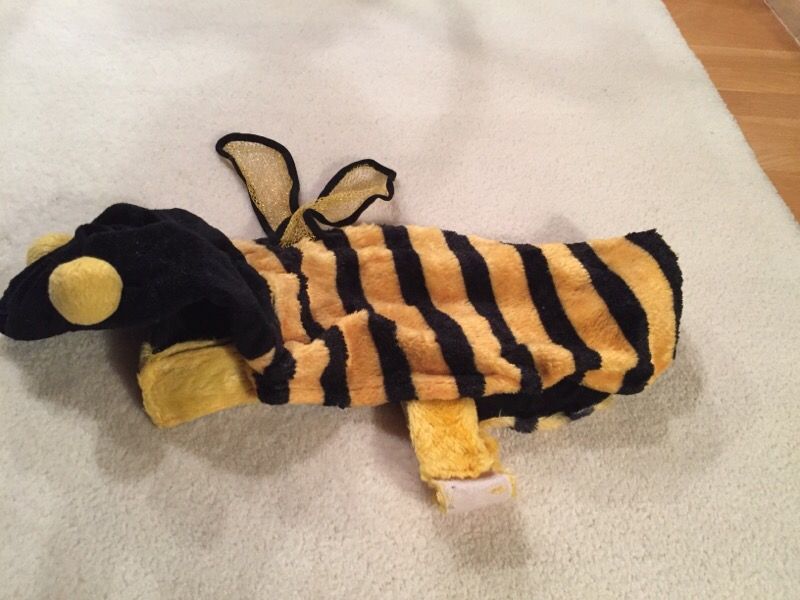 Dog bee costume med
