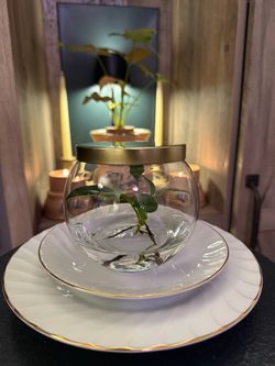 The SnowGlobe Water Birkin