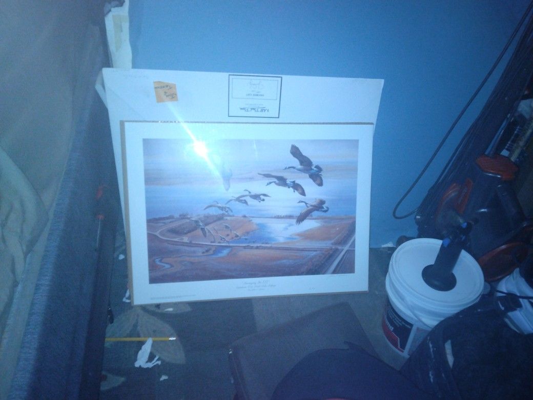 John C Green Signed Print