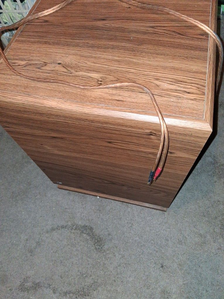 12" Subwoofer