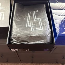 Space jam Jordan 11’s Size 11.5 