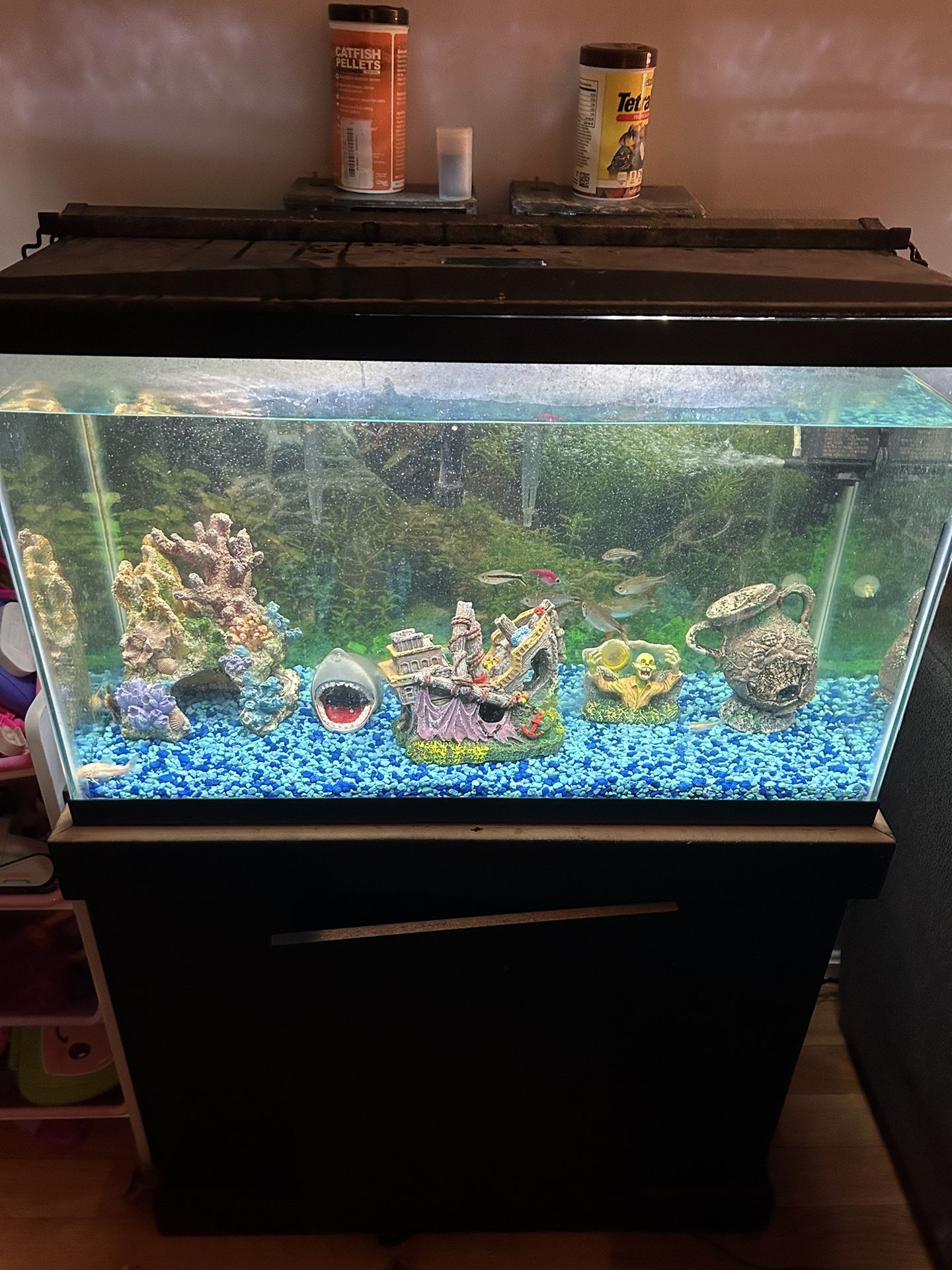 29 Gallon Aquarium