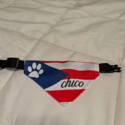 Dog Leash