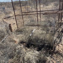 Free Chicken/Bird Cages