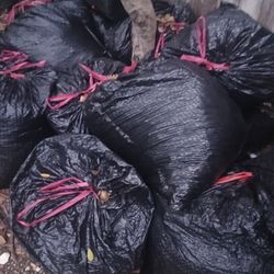 Free. BAGS OF OAK LEAVES