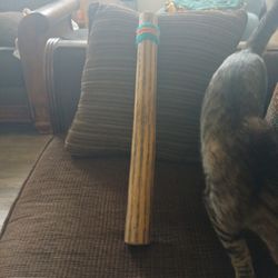 Rain Stick 