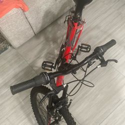 24”bike 