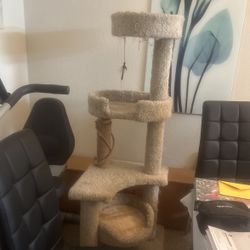 Cat Tree 