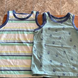 Toddler Boy 2T