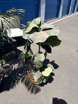 Artificial Fiddle Leaf Fig Tree