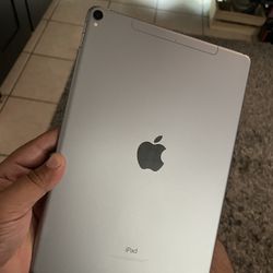 iPad Pro 