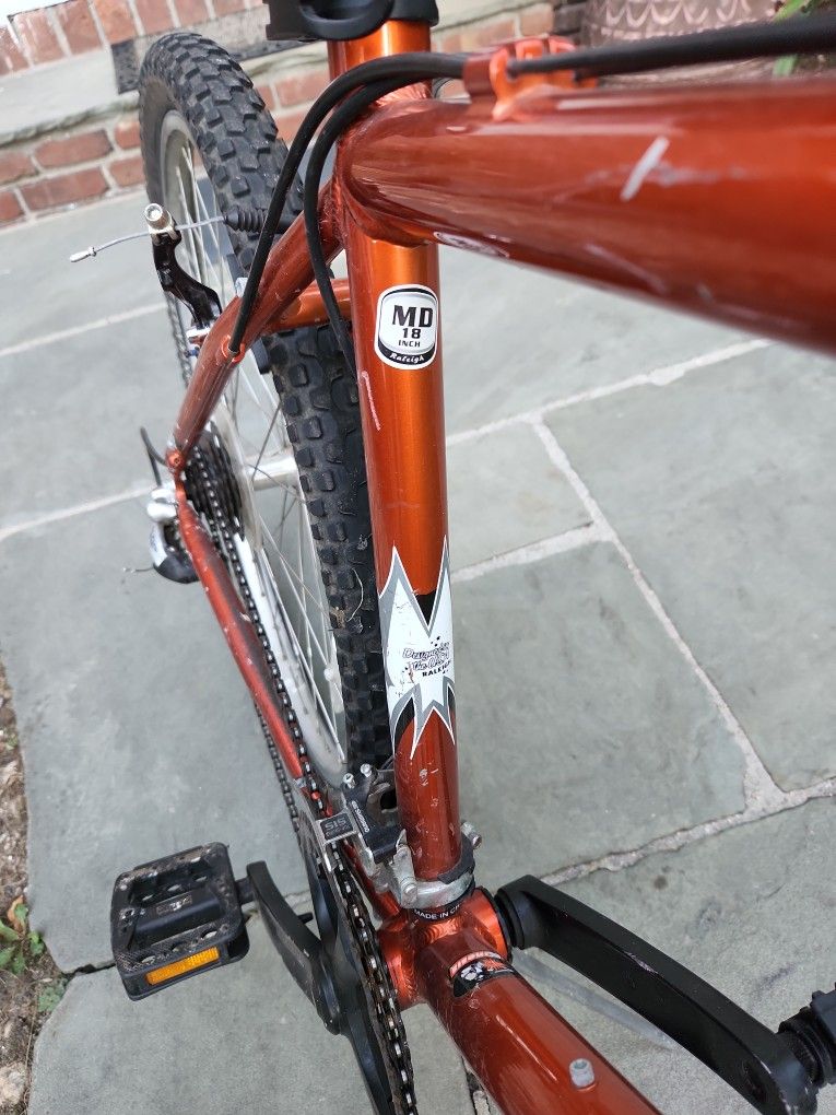Raleigh 18 cheap inch bike