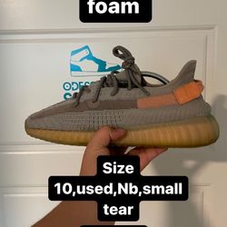 Yeezy 350 True Foam 