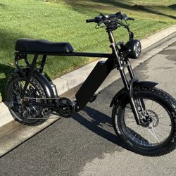 LinksEride 750W 48V  Ebike